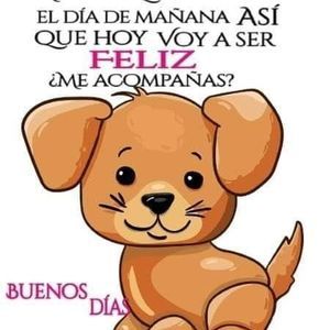 Meet your Posher, Eva